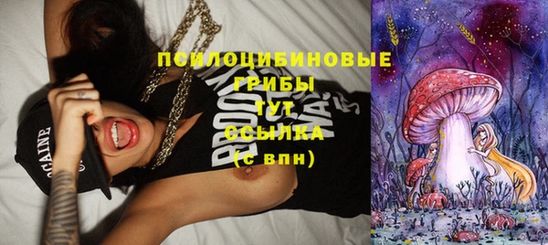 шишки Абинск