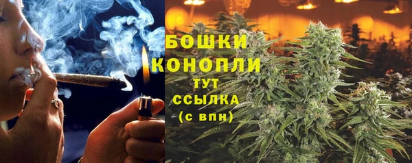 шишки Абинск